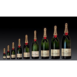 Champagne Moet Chandon piccolo 24x20cl a 12 - Champagne te koop