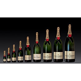 Moet Chandon 9 liter Salmanazar champagne fles in kist